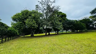 Paisagem de gramado verde com árvores e cerca no campo.