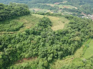 Vista aérea de uma paisagem com vegetação densa e áreas de campo em Lajeado, Brasil.