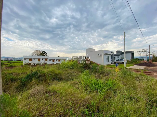 Terreno, foto 2