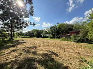 Campo aberto com vegetação e uma casa ao fundo sob um céu azul.