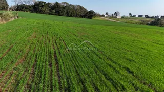 Área rural, foto 3