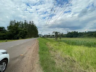 Vista de uma estrada rural com vegetação ao longo de uma paisagem verde.