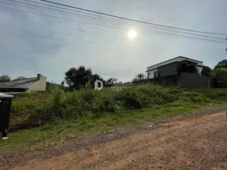Vista externa de uma residência com vegetação alta e estrada de terra em primeiro plano.