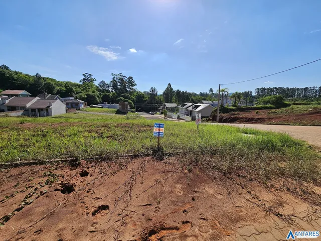 Terreno, foto 3