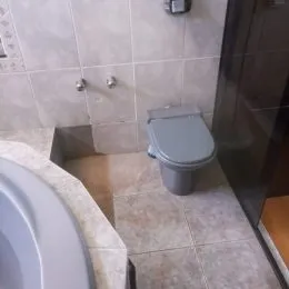 Foto de um banheiro com revestimento de azulejos claros e vaso sanitário.