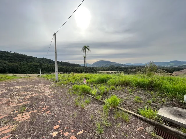 Terreno, foto 3