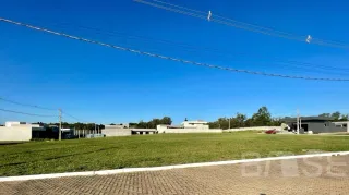 Terreno, foto 2