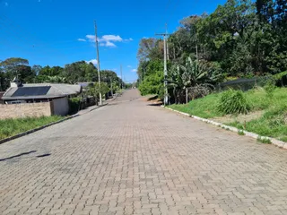 Vista de uma rua pavimentada em Lajeado, Brasil, com vegetação ao redor.