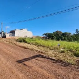 Vista de uma estrada de terra com vegetação seca ao fundo.