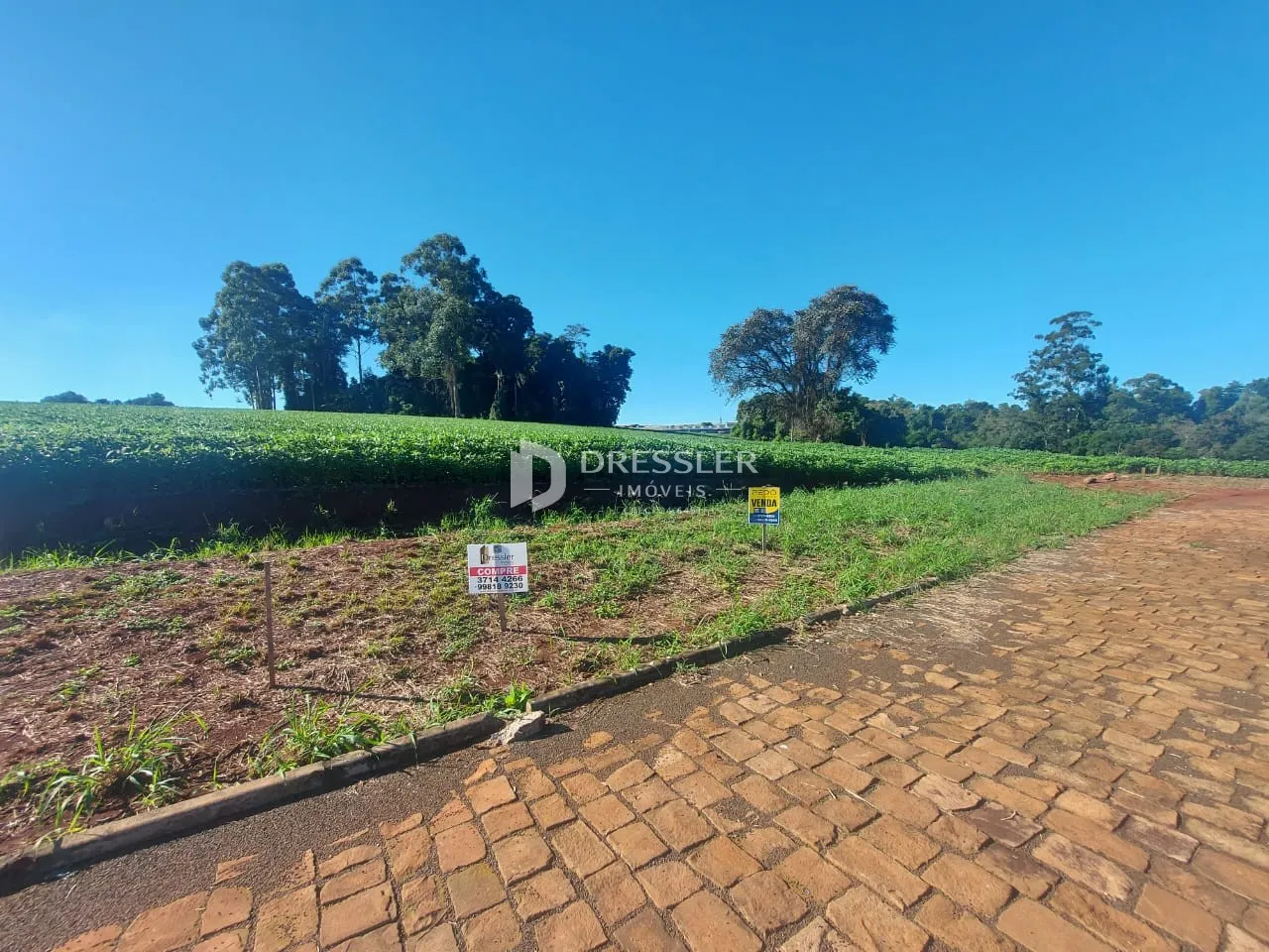 Terreno, foto 1