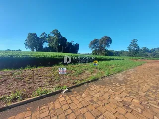 Terreno, foto 1