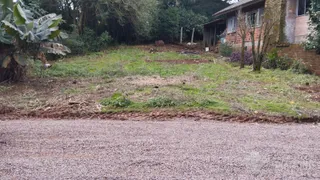 Terreno, foto 1