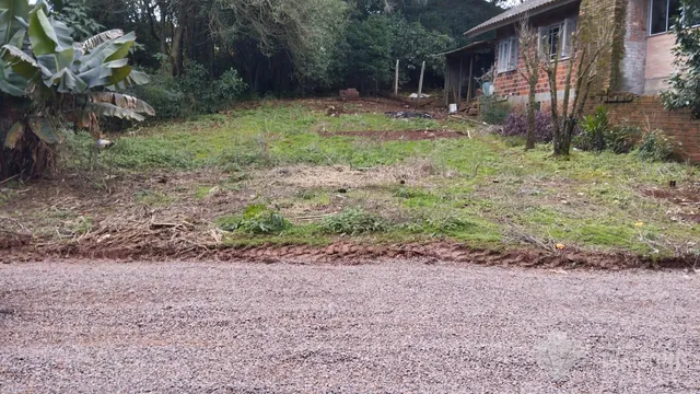 Terreno