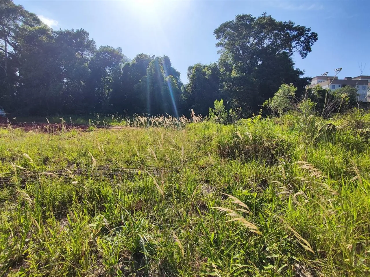 Terreno, foto 1