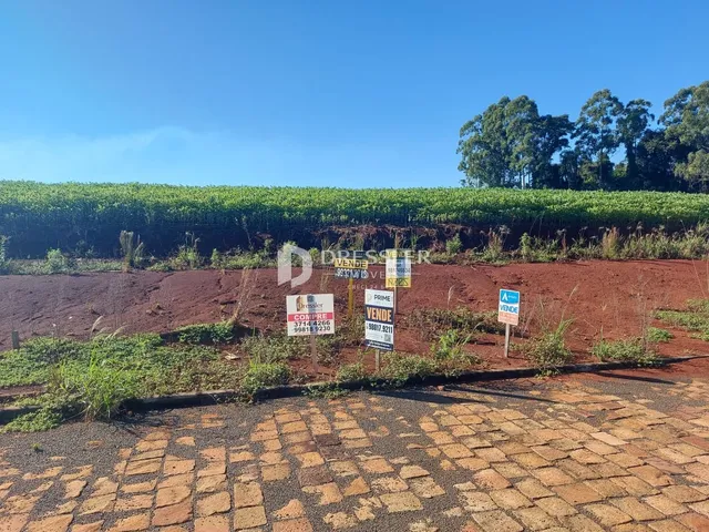 Terreno
