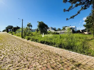 A paisagem exterior da propriedade mostra uma estrada de paralelepípedos e vegetação alta.