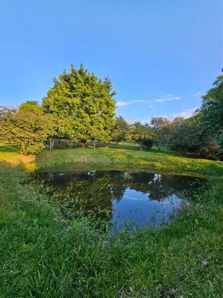 Área rural com 2 dormitórios, foto 21