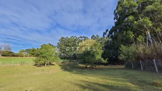 Área rural com 3 dormitórios, foto 6
