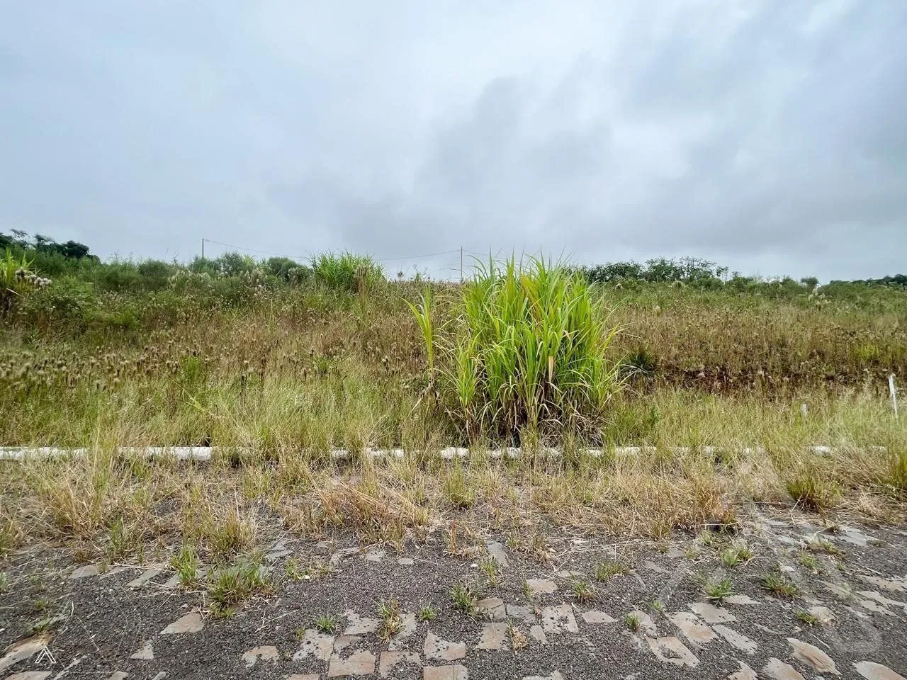 Terreno, foto 1