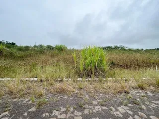 Terreno, foto 1