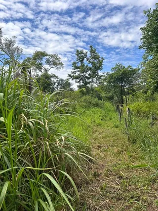 Área rural com 2 dormitórios, foto 8