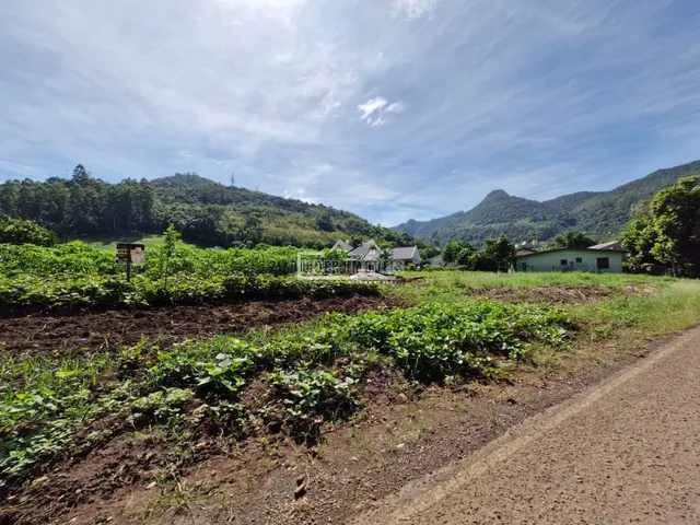 Terreno, foto 3