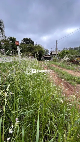 Terreno, foto 23