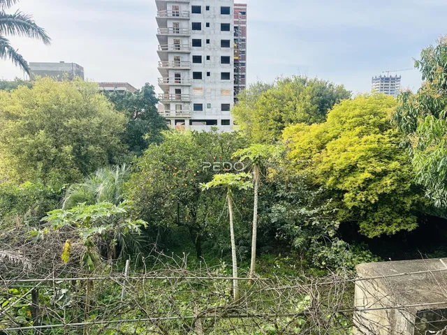 Vista externa de uma propriedade com vegetação densa e um prédio alto ao fundo.