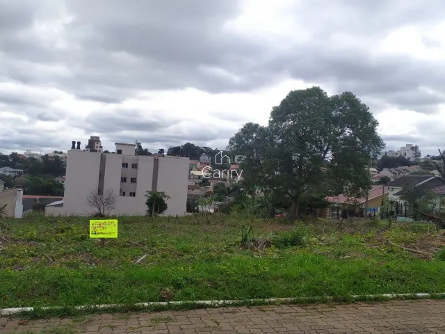 Terreno