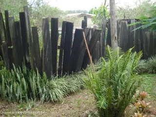 Casa com 3 dormitórios, foto 10