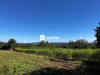 Área rural com 2 dormitórios, foto 14