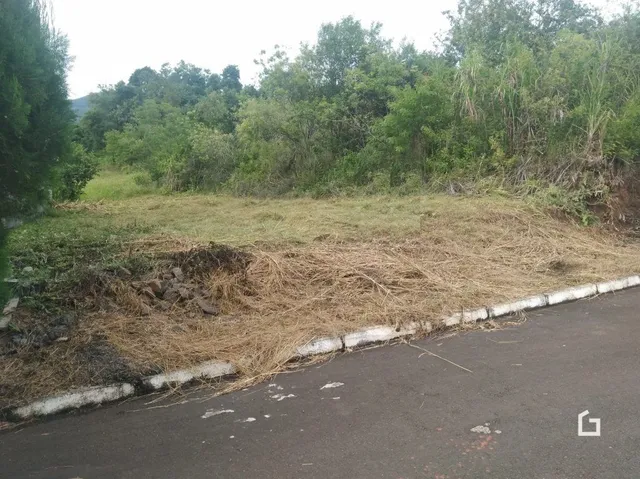 Área externa com vegetação seca ao lado de uma calçada.