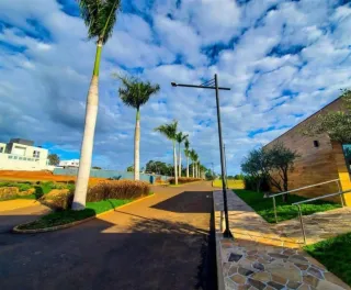Vista externa de uma rua arborizada com palmeiras e um edifício moderno.