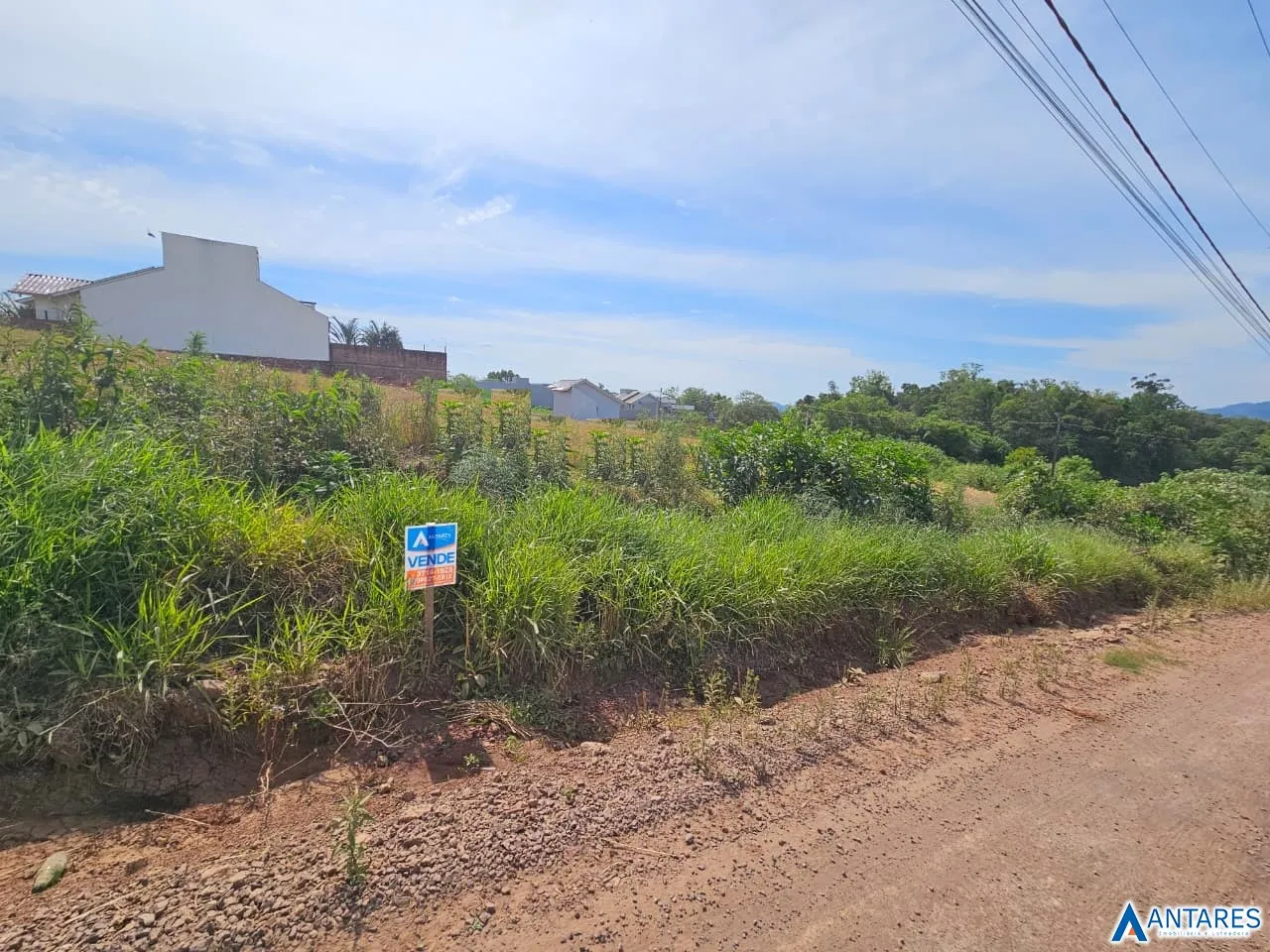 Terreno, foto 1
