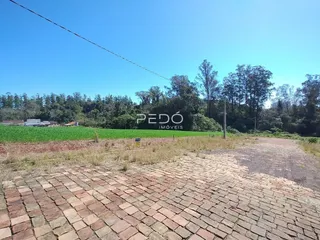 Vista da propriedade com piso de tijolos no primeiro plano e vegetação ao fundo.
