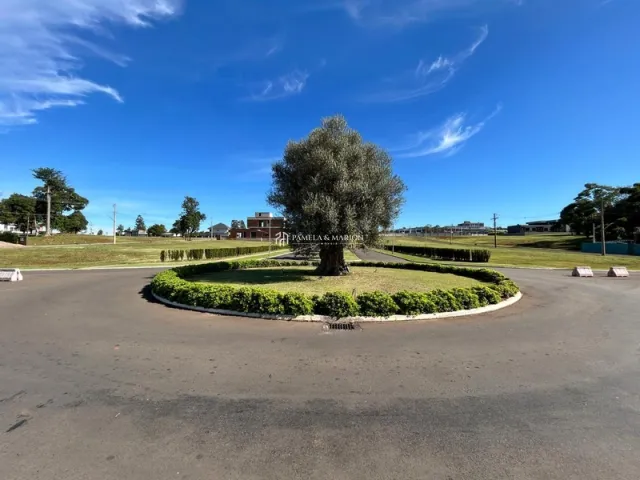 Terreno
