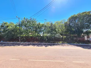 Vista da rua com vegetação ao fundo