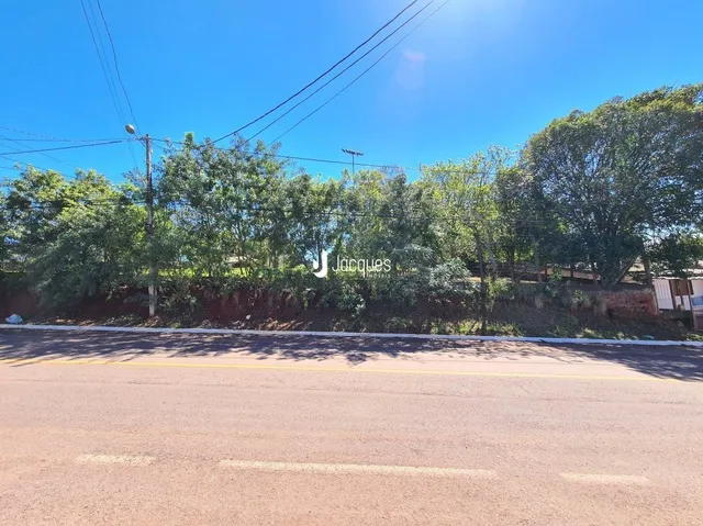 Vista da rua com vegetação ao fundo