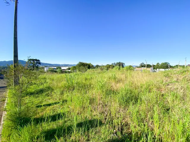 Terreno, foto 3