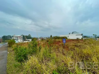 Terreno, foto 2