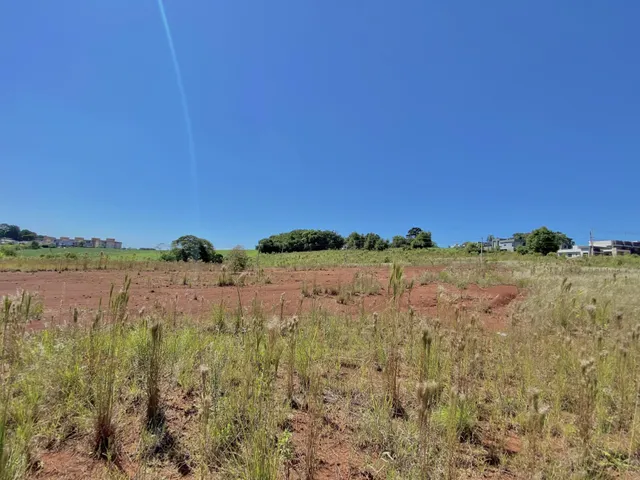 Vista de uma área de terra seca com vegetação rasteira sob um céu azul claro.