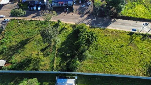 Vista aérea de uma área verde com vegetação ao lado de uma estrada.