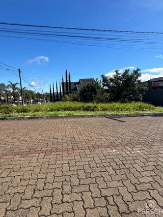 Terreno, foto 1