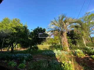 Área rural, foto 18