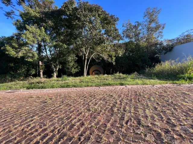 Terreno, foto 2