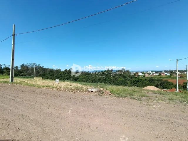Vista da paisagem rural com estrada de terra no primeiro plano.