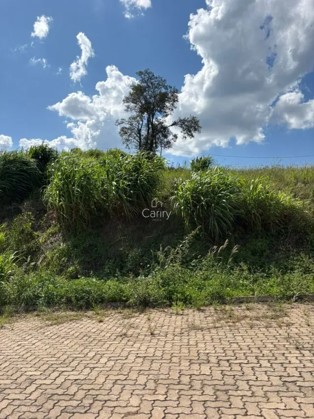Terreno, foto 4