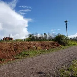Foto de uma estrada de terra com vegetação ao ar livre sob um céu azul.