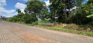 Terreno, foto 2