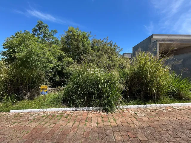 Vista externa da propriedade com vegetação densa e muro de alvenaria.